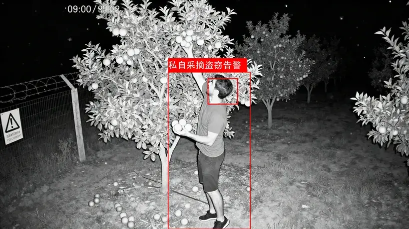 AI大模型应用场景：农林渔业